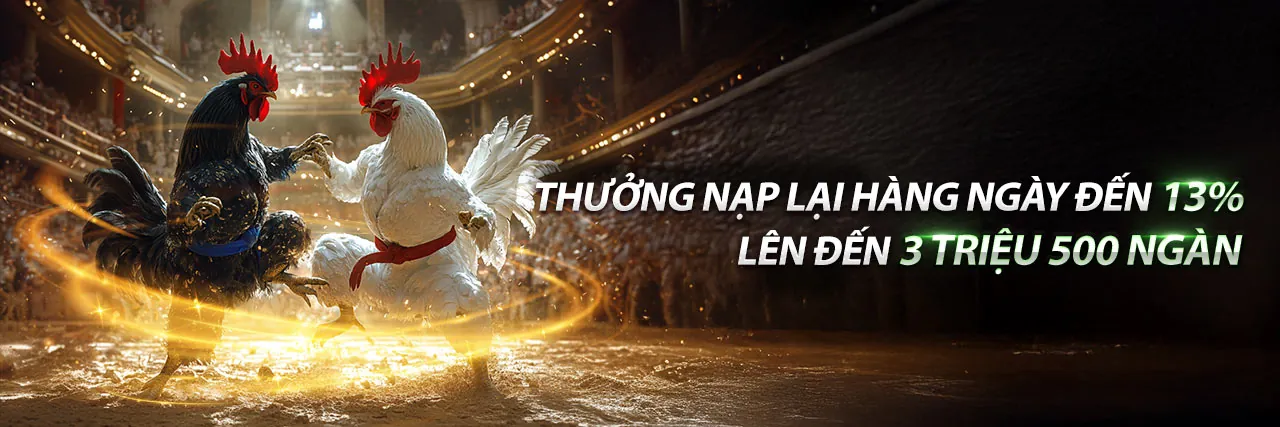 Đá gà trực tiếp đầy kịch tính tại Lucky88 Bet